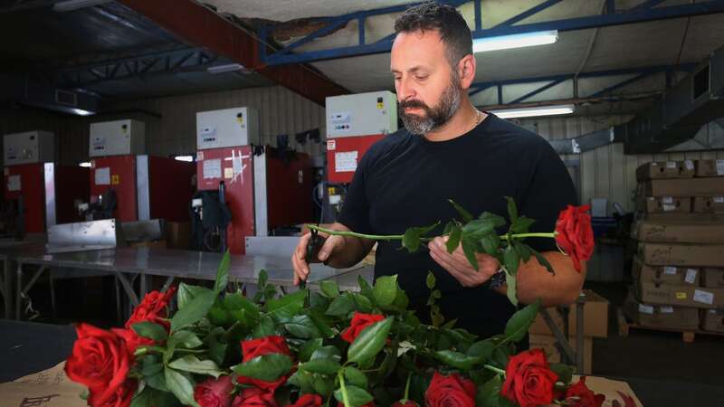 You can help extend the life of your flowers (stock image) (Image: Getty Images)