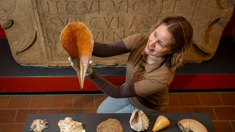 Dr Frances McIntosh with a collection of shells which will be going on display at Chesters Roman Fort and Museum (Image: PA)