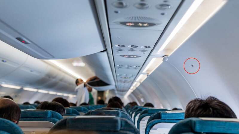 Flight attendant explains reason for small triangle above a few plane seats