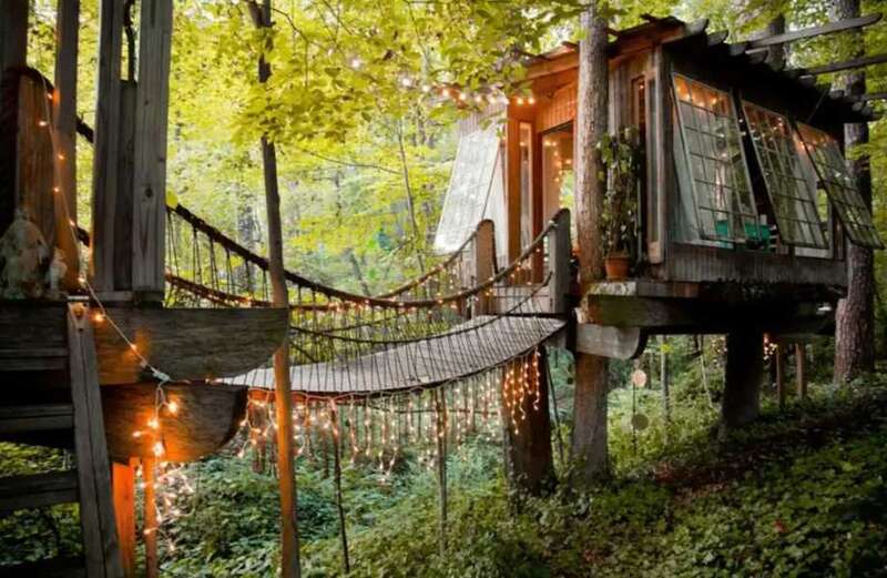 Owner Peter revealed how he built the incredible treehouse