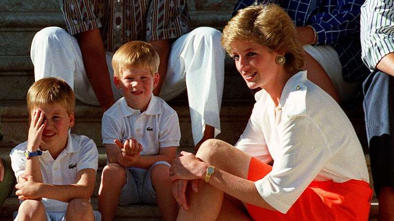 Princess Diana with sons William & Harry in 1988 (Image: Daily Mirror)