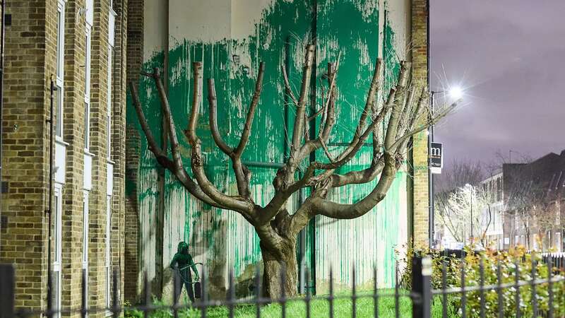 New Banksy mural of a tree pops up overnight as fans descend on London street