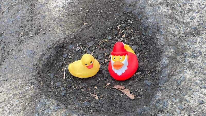 Rubber ducks have been left inside potholes in Glasgow (Image: Alison McAdam)