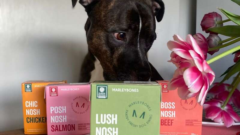 Frank checking out the goods from Marleybones (Image: Bethan Shufflebotham)