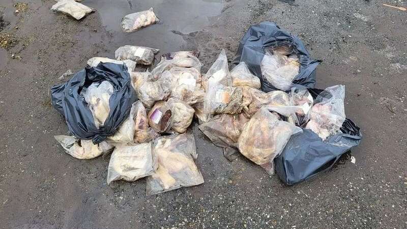 Bags of rotting meat dumped in a lay-by on the A635 near Holmfirth (Image: YorkshireLive/MEN)