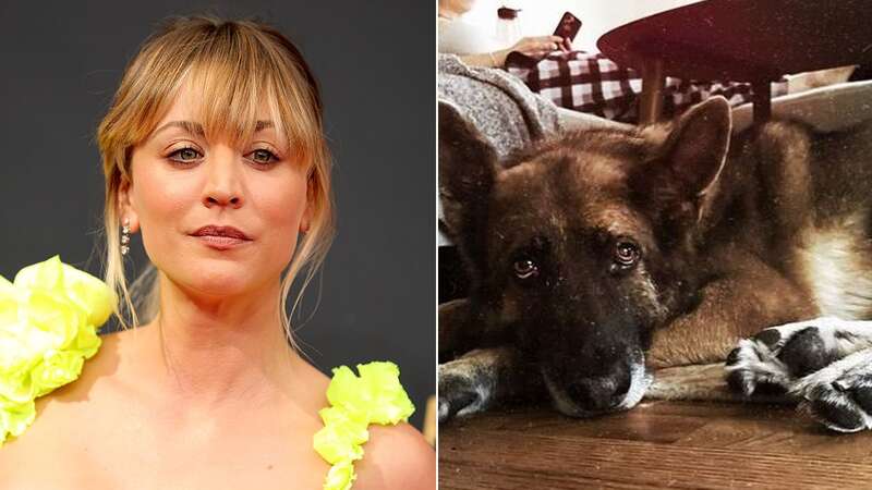 Kaley Cuoco mourned the passing of her dog Blue