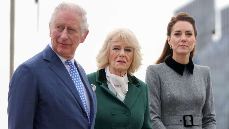 Both King Charles and the Princess of Wales revealed their cancer diagnoses weeks apart (Image: PA)