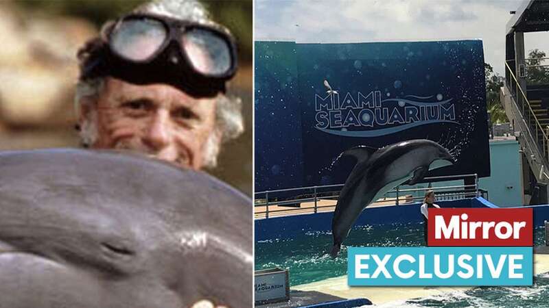 Former diver Richard O’Barry captured dolphins and trained them at Miami Seaquarium