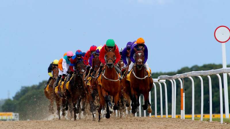 Newcastle racecourse hosts the BetUK All-Weather Championships on Good Friday, where Newsboy