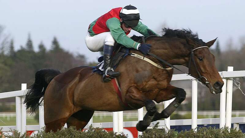 Limestone Lad won 35 races (Image: Getty Images)