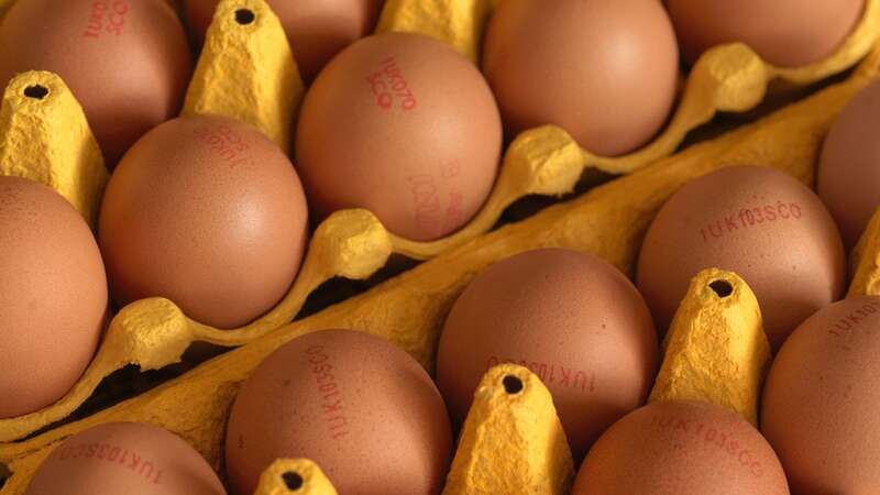 Eggs are a common and relatively inexpensive source of protein (Image: SWNS)