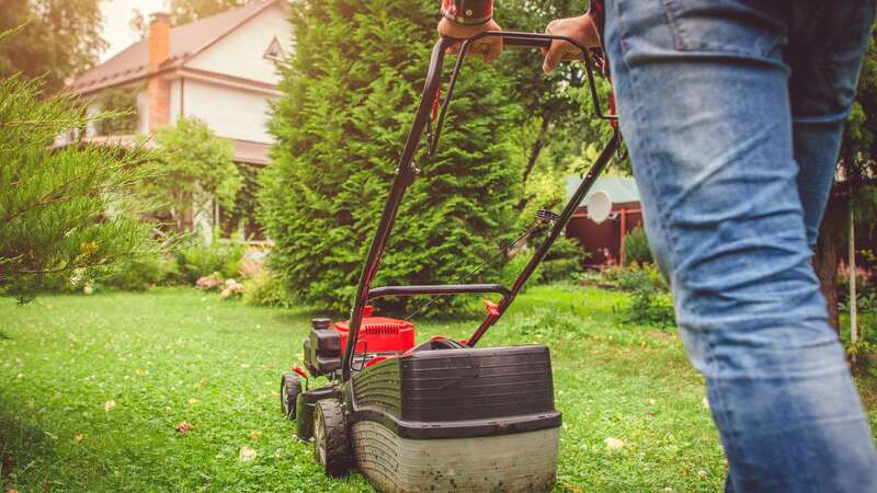 Cutting your grass too short could cause damage to your lawn (Image: Getty Images)