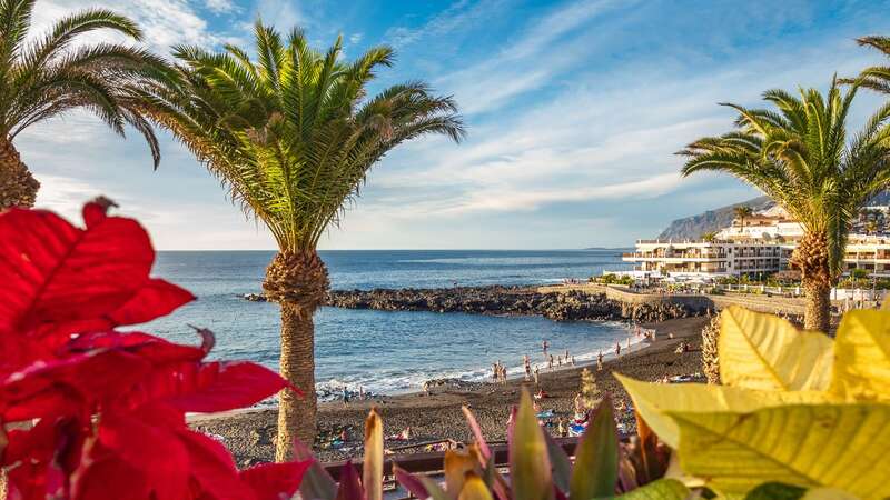 Close to 2.3 million British tourists visit Tenerife each year - roughly three times the number of Spanish tourists from the mainland (Image: Getty Images)