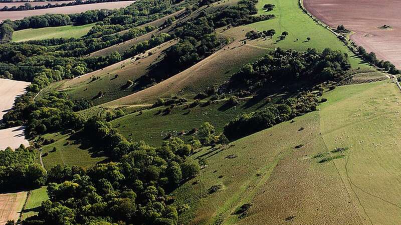 South Downs may be home to the UK