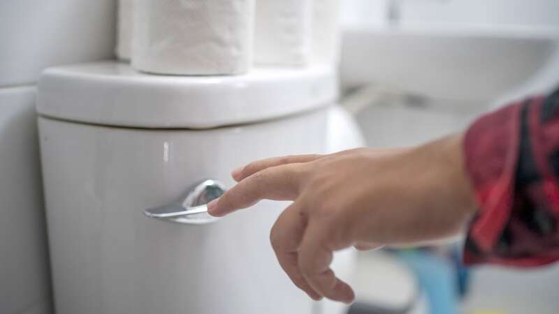 Researchers from South Korea have invented a self-flushing toilet which avoids having to touch it (Image: Getty Images)