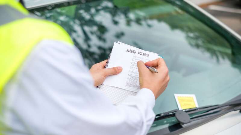 The driver admitted the charges after abusing the parking wardens (Image: Getty Images/iStockphoto)