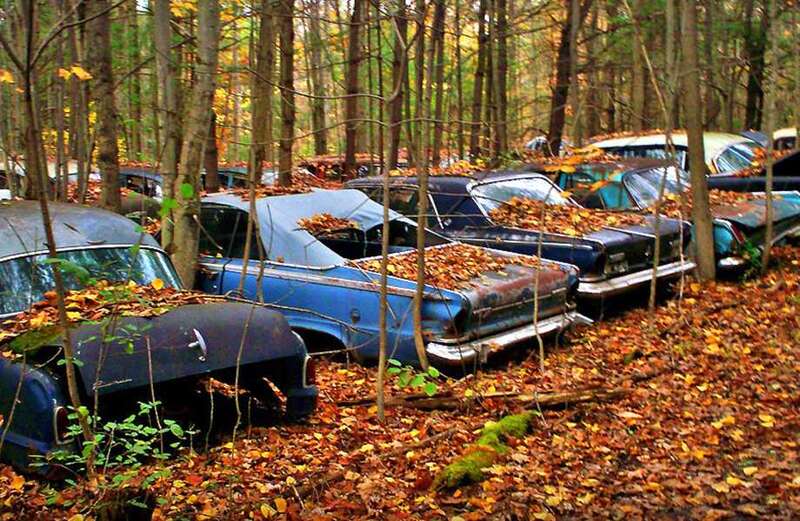 A car graveyard with hundreds of cars stirs up some strong feelings