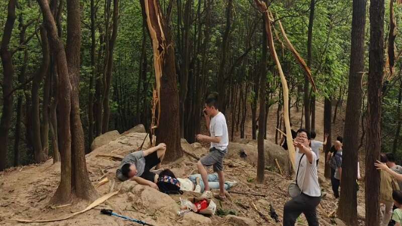 The woman collapsed and was left in agony after being struck by the lightning bolt while she was walking underneath the tree on Shitou Mountain (Image: AsiaWire)