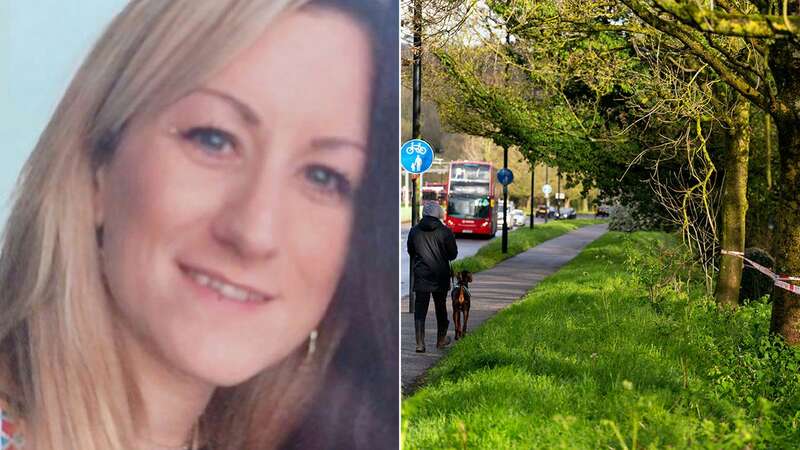 The human remains were found in Rowdown Fields, a park in Croydon (Image: PA)