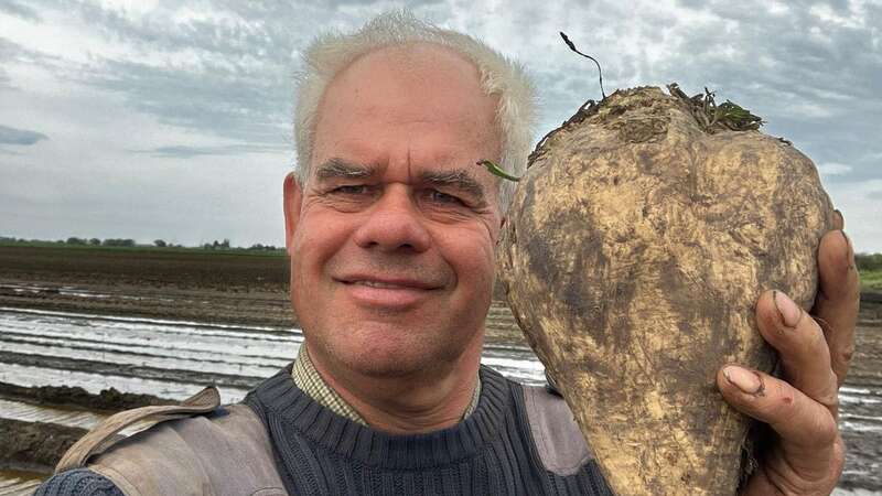 George Munns, 62, with sugar beet crop (Image: George Munns/SWNS)