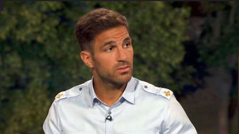 Cesc Fabregas has given his thoughts on Arsenal