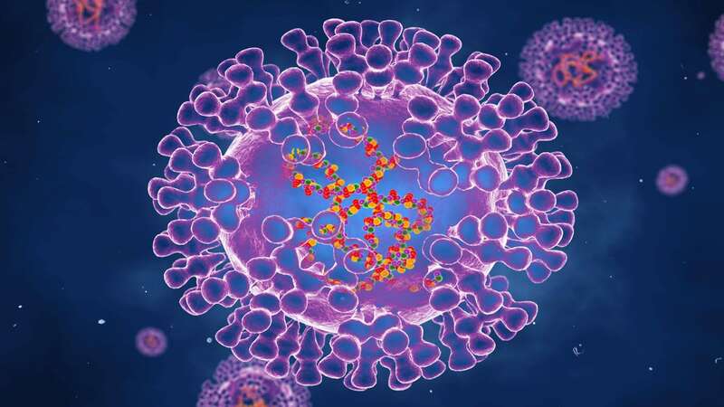 A new variant of mpox has sparked concern among scientists (Image: Getty Images/Science Photo Library RF)