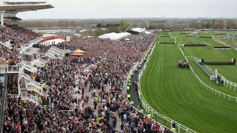 An MP has claimed he witnessed drug taking at the Grand National (Image: Paul Greenwood/REX/Shutterstock)