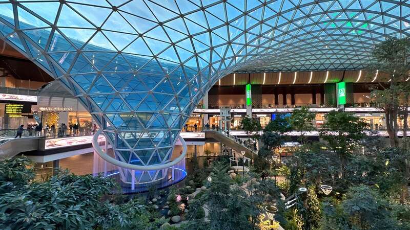 Hamad International Airport has a large tropical garden (Image: Getty Images)