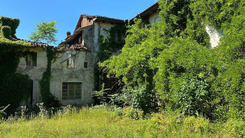 Tucked away in a small town, the forgotten gem is covered in plants and the hidden property shows little sign of its former glory (Image: Jam Press/Roman Robroek)