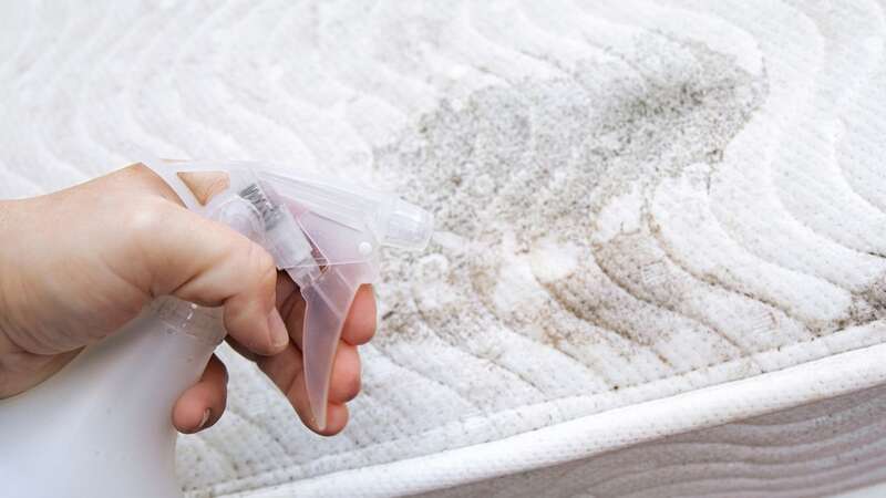 Mattresses can become infested with dust mites and mould (Image: Getty Images)