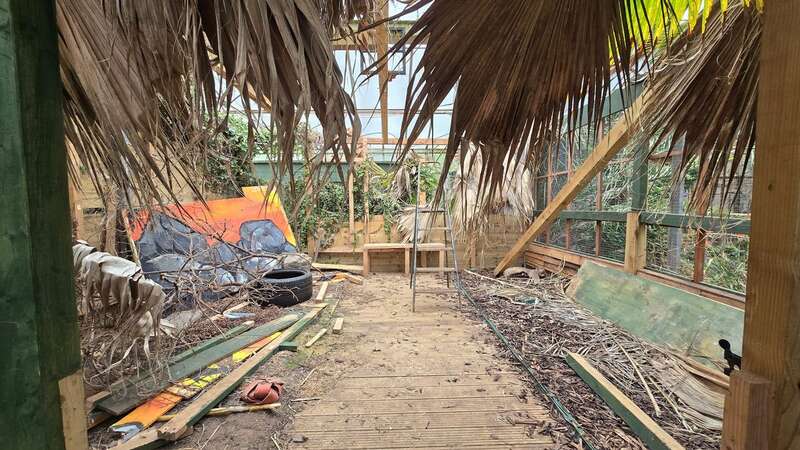 Inside creepy abandoned zoo complete with snake skins and breeding tanks