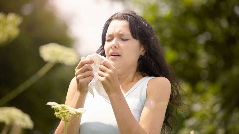 Experts have advised hay fever sufferers to plan in advance of pollen bombs (Image: Getty Images/Image Source)