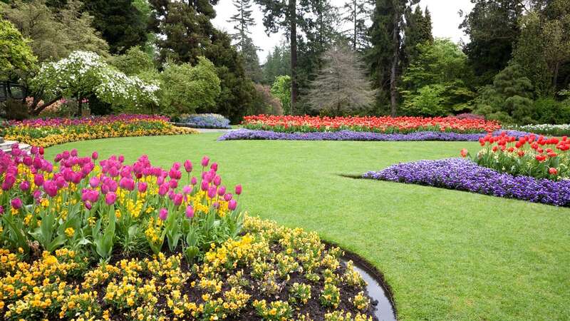 Curved edges can effectively break up rectangular gardens (Image: Getty Images)