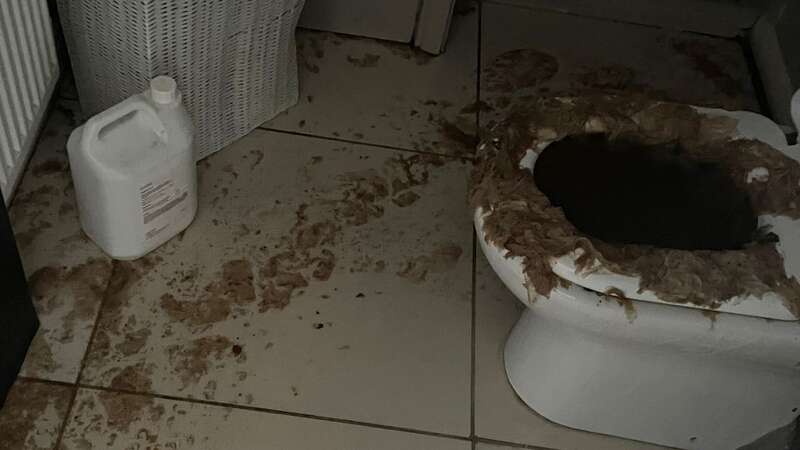 Grim moment sewage overflows from toilet - leaving mum with a £30,000 bill