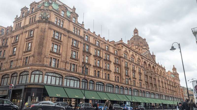 The alleged kidnap happened outside Harrods department store (Image: SWNS)