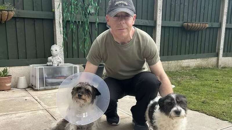 John Collins, 58, with Tilly and Scruffy following the attack (Image: Cheshire Live/MEN MEDIA)