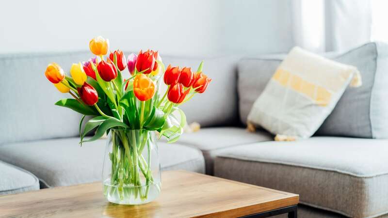 Many Brits struggle to preserve the freshness of their floral display (Image: Getty Images/iStockphoto)