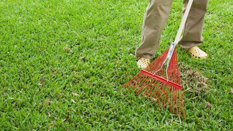 Clay soils are heavy to dig and cultivate, and can lead to delayed plant growth (Image: Getty Images/PhotoAlto)