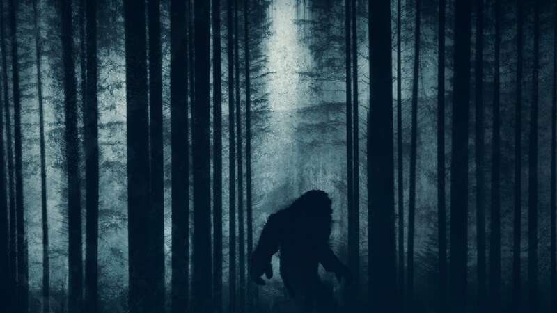 Bigfoot might be draining animals bodies like a vampire (Image: Getty Images)