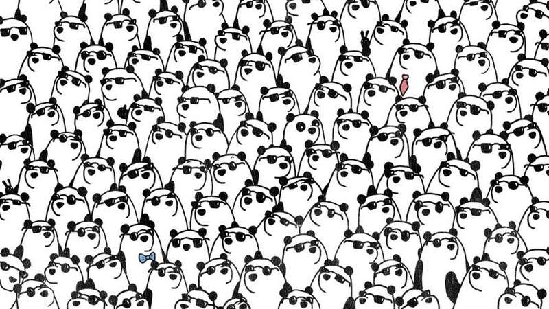 Can you spot the pandas without sunglasses? (Full Image Below) (Image: dudolf.com)