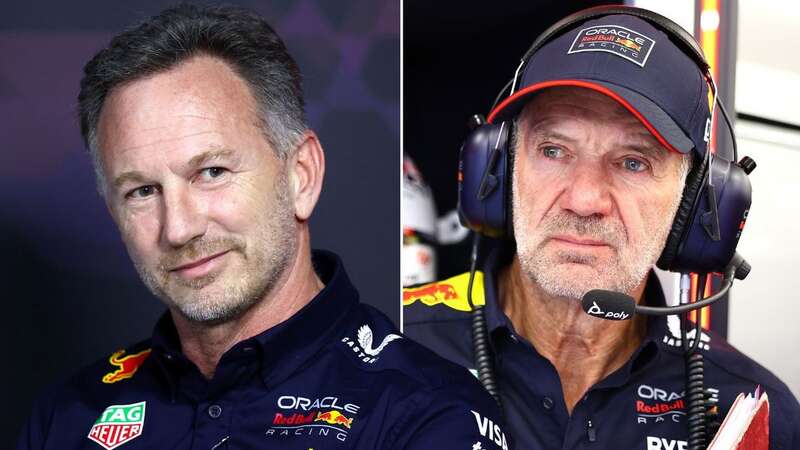 Adrian Newey is leaving Christian Horner