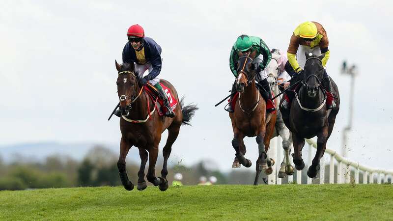 Galopin Des Champs (right) on his way to another defeat by Fastorslow (left) (Image: ©INPHO/Ryan Byrne)