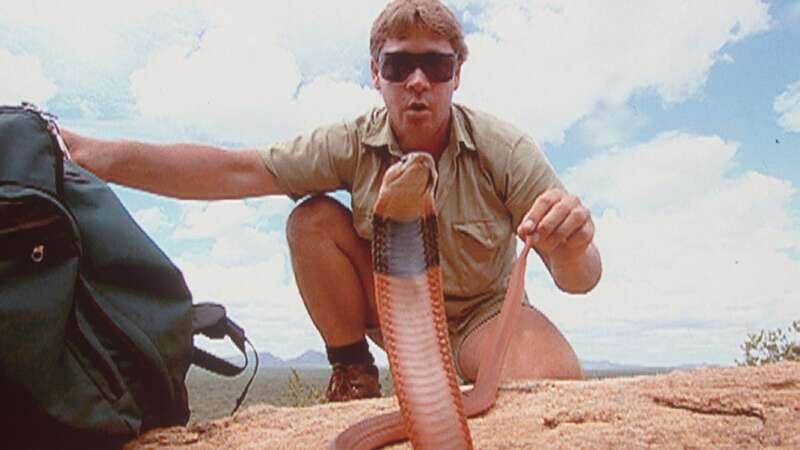 Steve Irwin rose to fame for getting up close with dangerous animals (Image: Meridian Television)