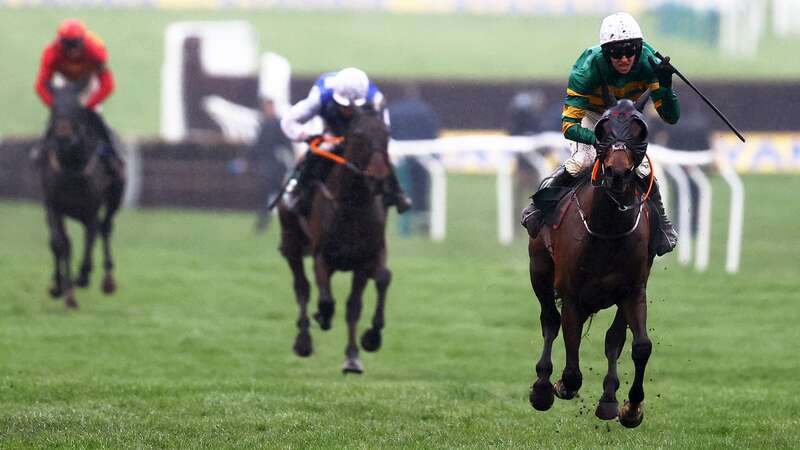 Sire Du Berlais pictured winning the 2023 Paddy Power Stayers Hurdle with Mark Walsh in the saddle (Image: Getty Images)