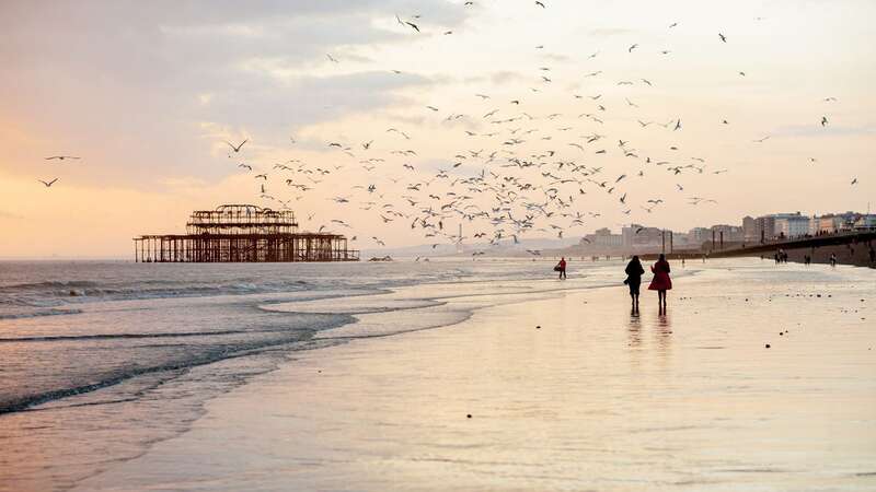 Brighton Beach is a "cultural icon", according to Beach Atlas (Image: Getty Images)