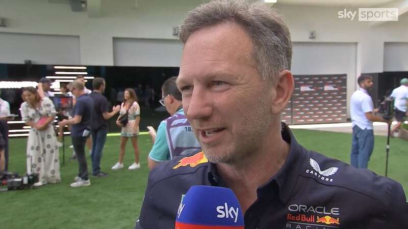 Red Bull team principal Christian Horner (Image: Sky Sports)