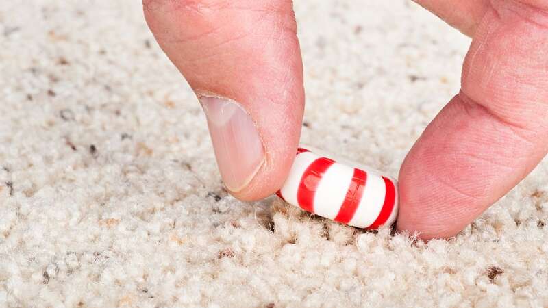 Dr Sermed Mezher has issued a warning to anyone eating dropped food (Stock image) (Image: Getty Images/iStockphoto)