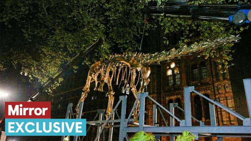 Unexpected story behind huge dinosaur skeleton that appeared in middle of night