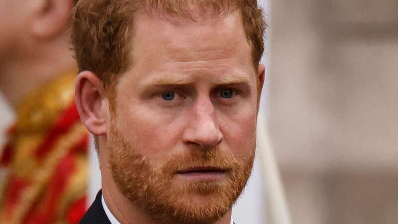 King Charles is too busy to see Prince Harry this week (Image: AFP via Getty Images)