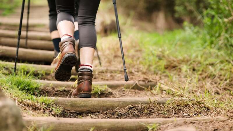 Nordic walking could elevate your workout to another level (Stock Image) (Image: Getty Images)